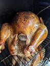 beautiful yummy smoked turkey ready for consuption Royalty Free Stock Photo