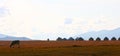 Beautiful yurt camps at Lake Song Kol, Kyrgyzstan.