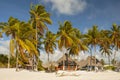 Beautiful Zanzibar beach hotel with traditional exotic beach huts, Zanzibar, Tanzania