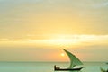 Beautiful Zanzibar sunset on the East Coast of Africa