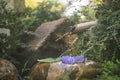 Beautiful zen garden with lotus flower and bamboo fountain on nature background Royalty Free Stock Photo