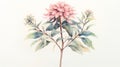 Beautiful Zinnia Watercolour Illustration With Yucca Tree