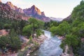 Beautiful Zion national park at sunset,utah,usa. Royalty Free Stock Photo