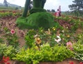 Beautifull colorfull plant in the summer garden. Red Flowers