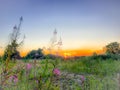 Beautifull dramatic sunset over a field Royalty Free Stock Photo