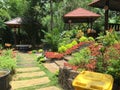 Beautifull garden in the backyards