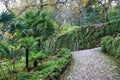 Beautifull gardens in Quinta da Regaleira. Sintra, Portugal