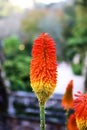 Beautifull gardens in Quinta da Regaleira. Sintra, Portugal