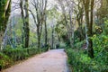 Beautifull gardens in Quinta da Regaleira. Sintra, Portugal