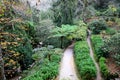 Beautifull gardens in Quinta da Regaleira. Sintra, Portugal