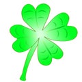 Beautifull green cloverleaf