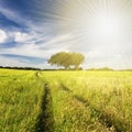 Beautifull landscape with sunrays Royalty Free Stock Photo