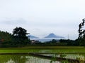 Beautifull Mountain merapi