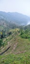 Beautifull Mountain, wild, panorama, jungle