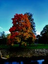Beautifull play of collors nature trees And river Royalty Free Stock Photo