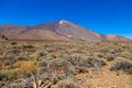 View of beautiful volcano Teide in summer