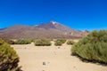 View of beautiful volcano Teide in summer