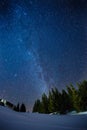 Beautifull scenery of a night winter starry sky above pine forest, long exposure photo of midnight stars and snowy woods