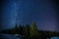 Beautifull scenery of a night winter starry sky above pine forest, long exposure photo of midnight stars and snowy woods Royalty Free Stock Photo