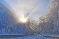 Beautifull sun rays in a winter woodland landscape Royalty Free Stock Photo