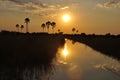 Beautifull sunset in the wilderness of the Okavango-Delta swamps Royalty Free Stock Photo