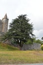 Beautifull tree in Santa Maria da Feira Castle.