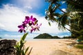 Beautifull tropical beach in Thailand Royalty Free Stock Photo