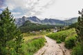 Beautifull valley in Tatra Mountains . Alpine style landscape in the summer. Rural huts surrounded by high mountain peaks.