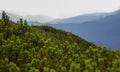 Beautifull view of Chornohora highest mountain range in Western Ukraine