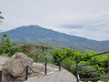 Beautifull View of Merapi Mountain in Ketep Pass Royalty Free Stock Photo