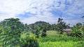 Beautifull view in villange in indonesian Royalty Free Stock Photo