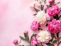 Vibrant Springtime Peony Display on a Pastel Pink Background for a Floral Banner. Generative AI Royalty Free Stock Photo