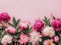 Vibrant Springtime Peony Display on a Pastel Pink Background for a Floral Banner. Generative AI Royalty Free Stock Photo