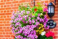 Beautifully arranged flowers in pot