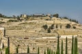 Beautifully clear panorama on Mount Sion olive mountain with its historically famous buildings.