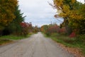 Country dirt road line with autumn colored trees. Royalty Free Stock Photo