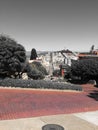 Beautiful red view of Lombard Street