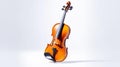 Violin on white background