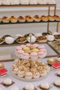 Beautifully decorated catering banquet table with burgers, profiteroles, salads and cold snacks. Variety of tasty delicious snacks