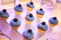 Beautifully decorated catering banquet table with different food