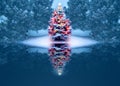 Beautifully Decorated Christmas Tree Reflects Magically In Frozen Lake Royalty Free Stock Photo