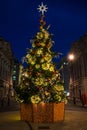 Christmas tree on Waterloo Place in London, England Royalty Free Stock Photo