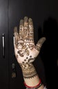 Mehandi Henna design on woman hands