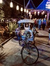 Beautifully decorated rickshaw