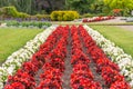 Beautifully designed park with flowers in the sunlight