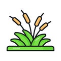 Beautifully designed vector of reed in editable style, ready to use icon