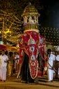 A beautifully dressed ceremonial elephant parades through the Kataragama Festival in Sri Lanka.