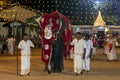 A beautifully dressed young elephant parades through the arena at the Kataragama Festival in Sri Lanka.