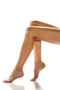 Beautifully groomed female legs