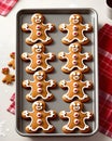 Decorated Christmas gingerbread people